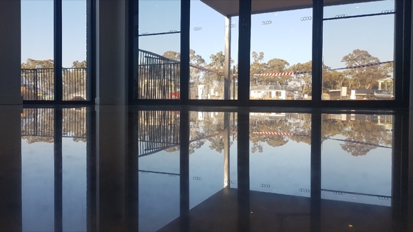 A polished concrete floor reflecting a full wall of windows